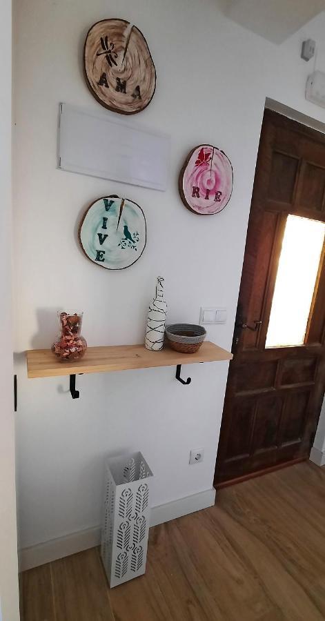 Kataenea. Apartamento En El Prepirineo Navarro. Naturaleza Aoiz Exteriör bild