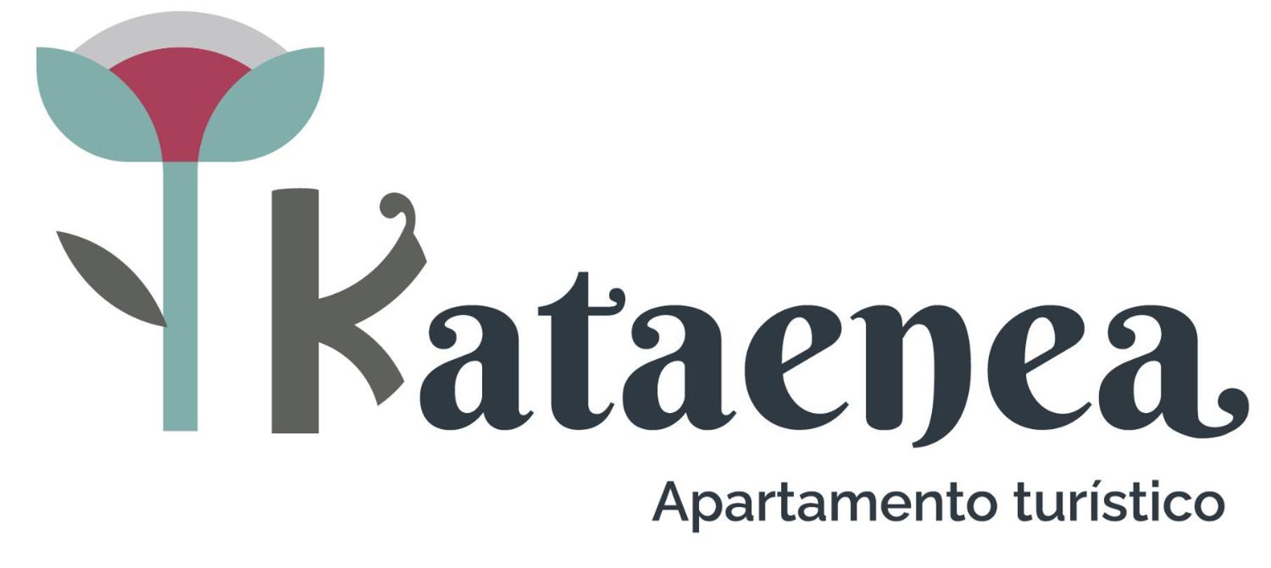 Kataenea. Apartamento En El Prepirineo Navarro. Naturaleza Aoiz Exteriör bild